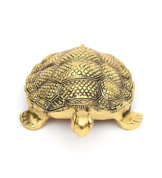 Tortoise of Metal: Vastu Feng Shui